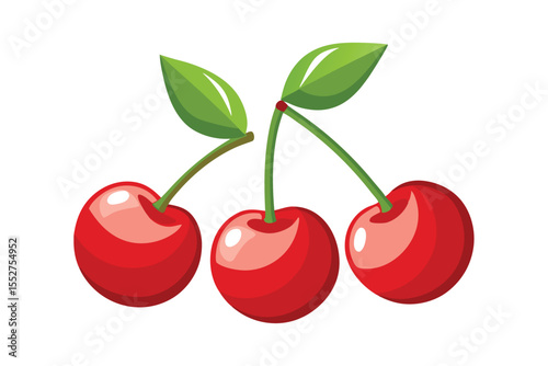 cherries vector illustration isolated on white background