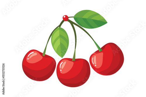 cherries vector illustration isolated on white background