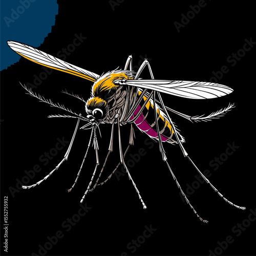 Very detailed and realistic mosquito illustration