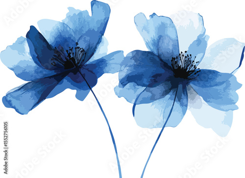 Two Delicate Blue Watercolor Flowers
