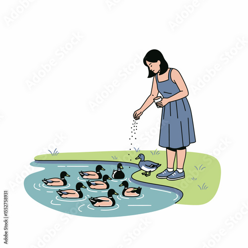 Woman feeding ducks in a pond on a sunny day outdoor activity