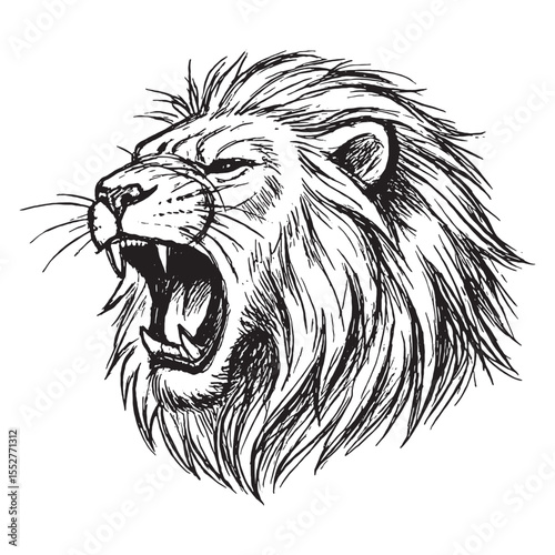 Detailed hand-drawn sketch of roaring lion head in black and white vintage engraving style.