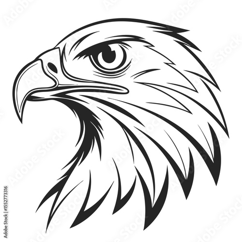 eagle head vector