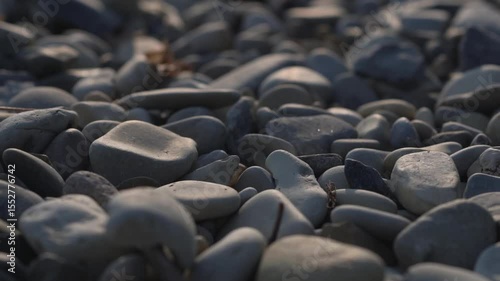 natural gray River Rock Pebbles stone Background. Gray large pebbles. Rocks on the beach. Extractive industry of natural resources