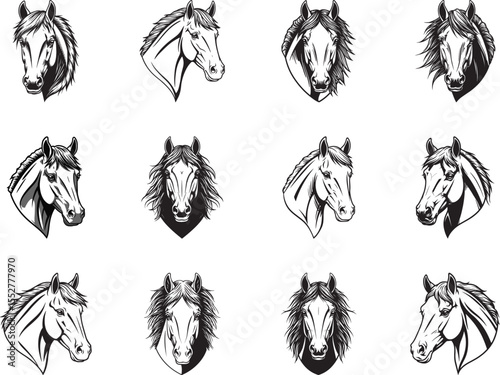 Black and white horse head illustrations