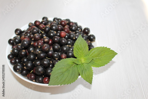 Blackcurrant is a favorite delicacy in our kitchen; people adore this healthy berry with all its vitamin properties