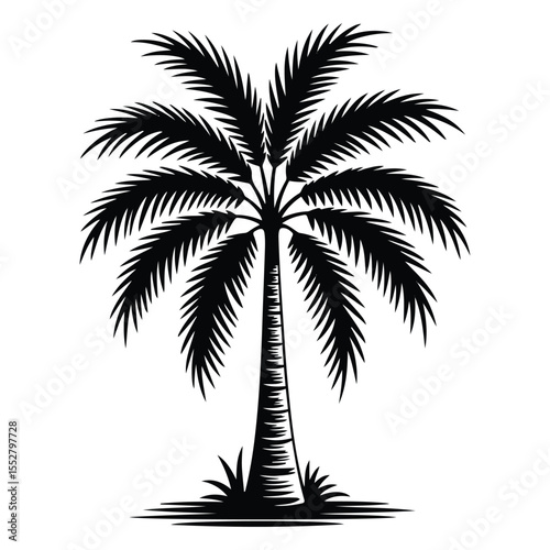 Silhouette of a palm tree with fronds and grassy base