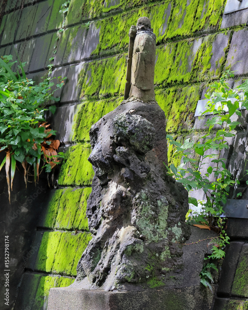 Obraz premium 飛鳥山公園あたり 雨上がりのアジサイの頃
