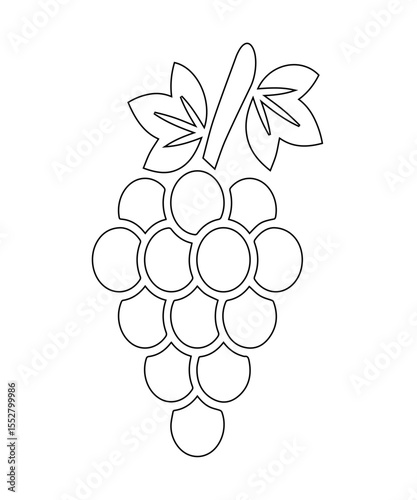 Obraz na plátně bunch of grapes