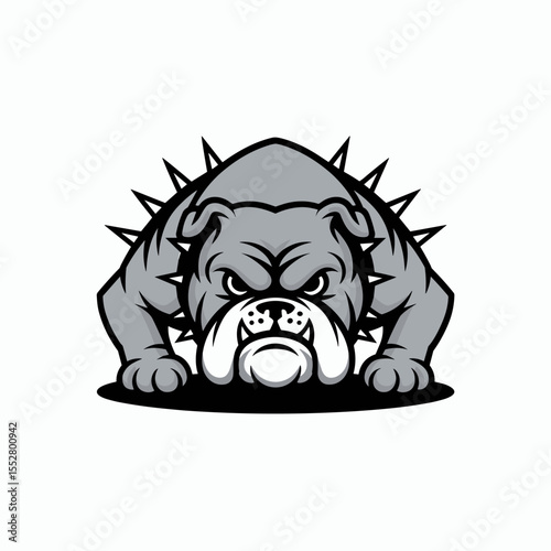 Angry bulldog stares forward with spiky collar. Mascot, aggression, fierce, power, protection, strength