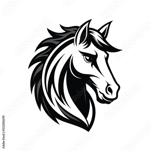 Stylized Black and White Horse Head
