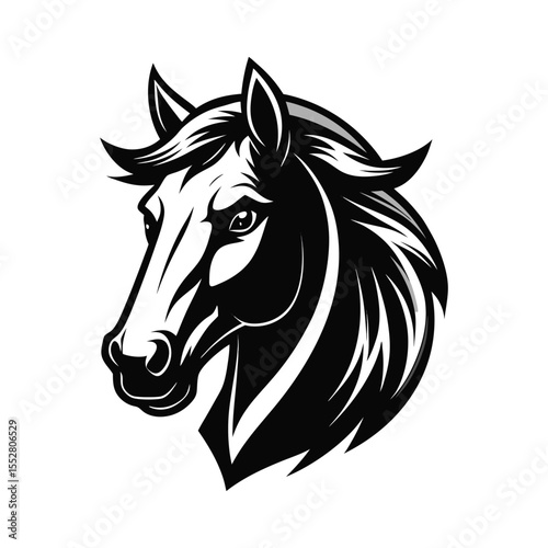 Stylized Black and White Horse Head