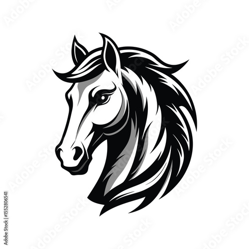 Stylized Black and White Horse Head