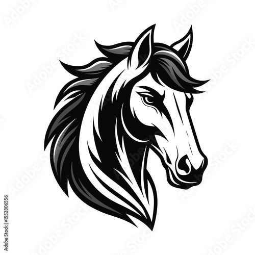 Stylized Black and White Horse Head
