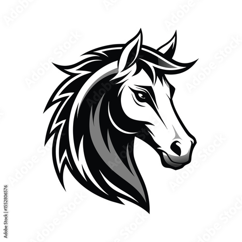 Stylized Black and White Horse Head