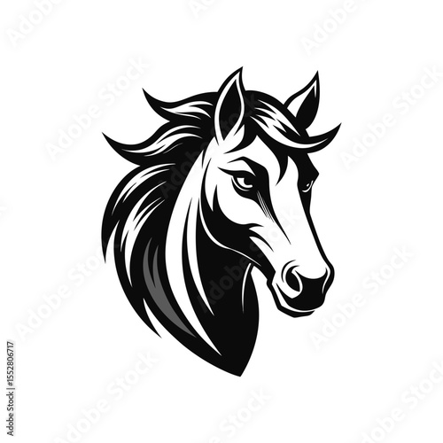Stylized Black and White Horse Head