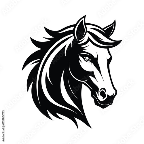 Stylized Black and White Horse Head