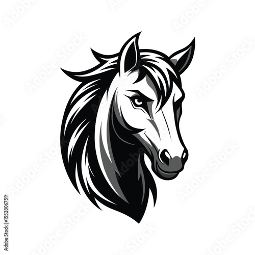 Stylized Black and White Horse Head