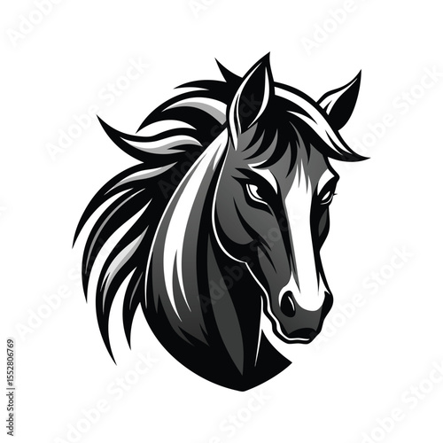 Stylized Black and White Horse Head