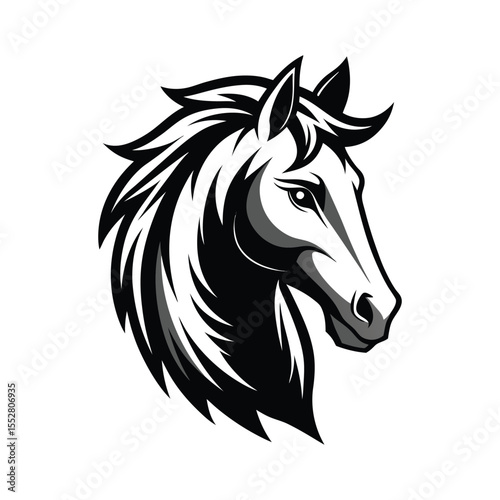 Stylized Black and White Horse Head