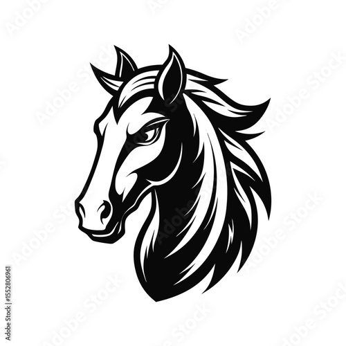 Stylized Black and White Horse Head
