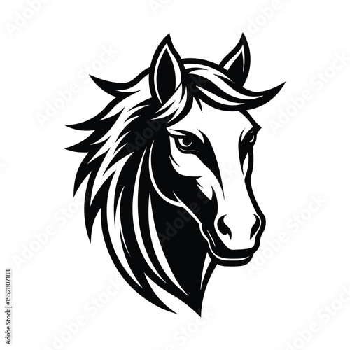 Stylized Black and White Horse Head
