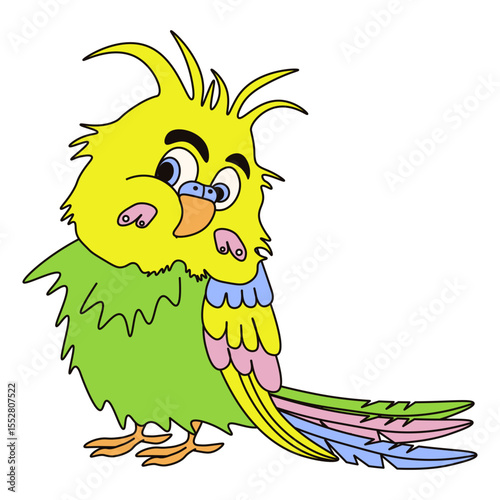 Budgie parrot. Cute confused parrot. Vector illustration of colored parrot isolated transparent background. Emotion face bird character. EPS 10