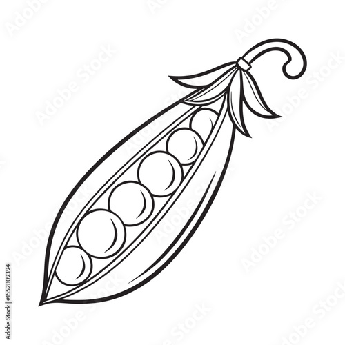 Black and white illustration of a single open pea pod with peas