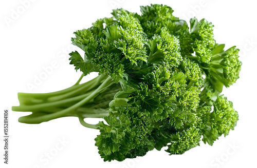 Fresh, vibrant bunch of parsley with lush green leaves and robust stems, perfect for culinary dishes and healthy recipes.