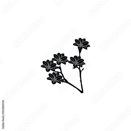 Black Flower silhouette 