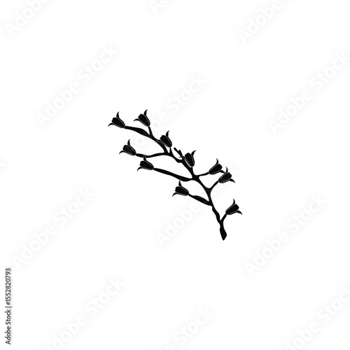 Black Flower silhouette 