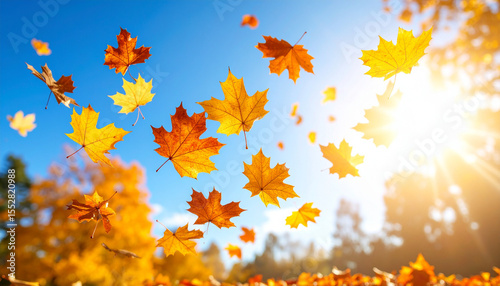 Autumn leaves floating in the air on soft background