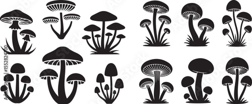 Monochrome Mushroom and Fern Silhouettes