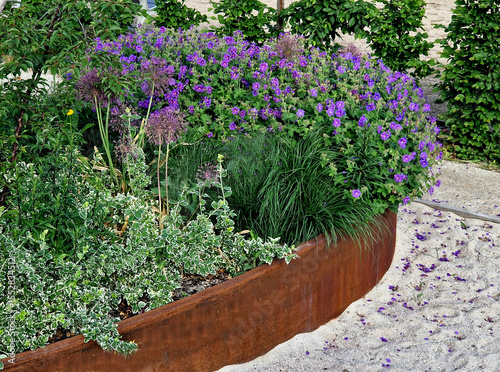 Obraz na plátne oval ellipse of the flower bed is lined with a rusty sheet metal border