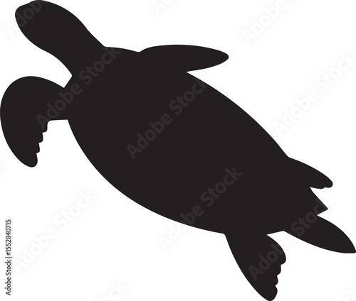 vector illustration of a turtle