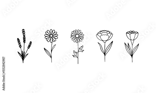 Whimsical Bloom Set. A playful series of abstract flowers with irregular lines and varied shapes, ideal for creative projects and decorative work.