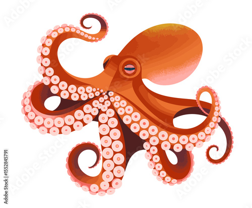 Cartoon Octopus