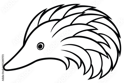 Line art echidna drawing displays unique spines and a distinct snout silhouette elegantly