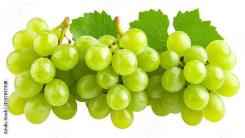 Cluster of ripe green grapes displayed separately on a transparent background showing various shapes and sizes of the fruit for culinary or graphic design use