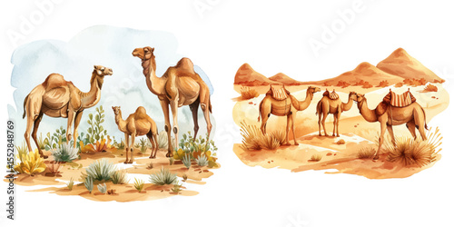 desert lanscape with camels watercolor vector illustration