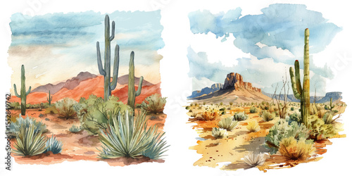 desert painting watercolor vector illustration
