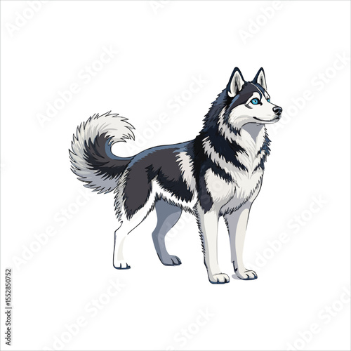 Husky Dog Vector Illustration