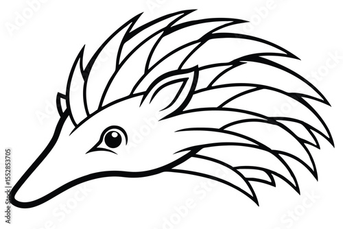 Black and white depicts a simplified echidna head with prominent quills pointing backwards