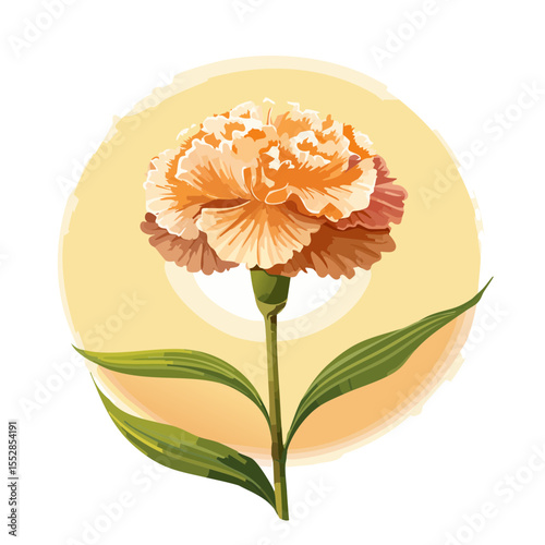 Elegant Carnation Illustration with Soft Colors and Detailed Petals
