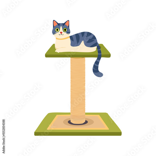 Cute Striped Cat Lounging on a Cat Tree with Scratching Post