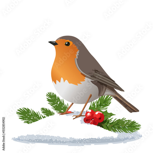 Festive Robin Perched on a Winter Branch with Berries
