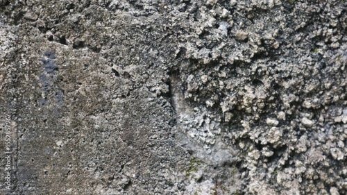 Dense, textured gray concrete. Rough, weathered, and detailed surface. Ideal for backgrounds.