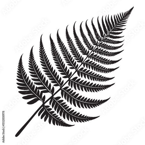 Black silhouette of a fern frond with detailed pinnules on a white background