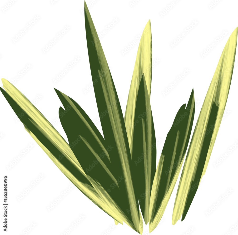Obraz premium Variegated Leaf Plant Clump