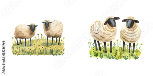 meadow with grazing sheep watercolor vector illustration
